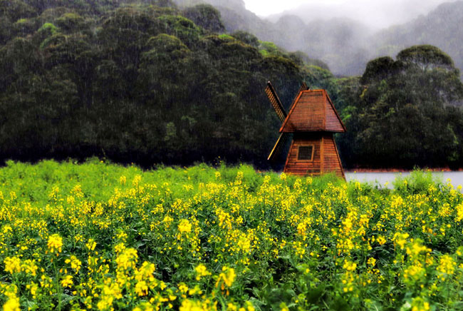 佛山中；峋傩写踊湃讼裆阌安煞缭硕